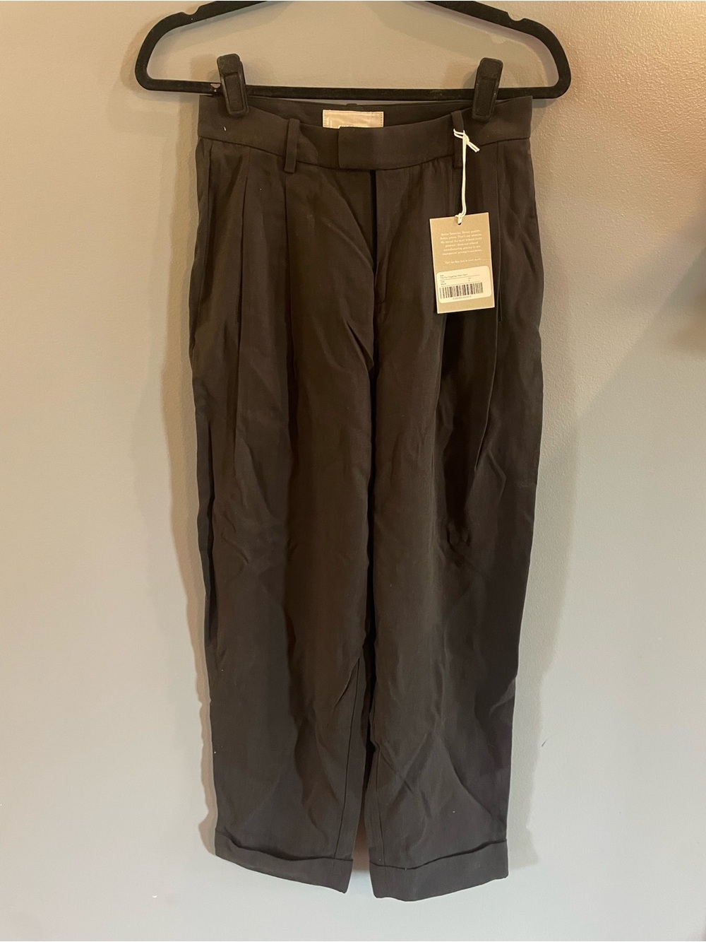 NWT Everlane Women’s Put Together Pleat Dress Pants in Black